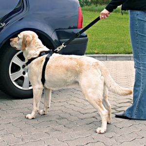 Trixie BIZTONSÁGI ÖV KUTYA L 70-90CM L