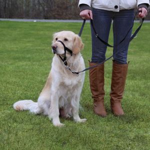 Trixie HÁM TOP TRAINER L–XL 37CM