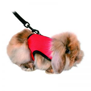 Trixie HÁM PÓRÁZZAL NYLON RÁGCSÁLÓKNAK STRAPABÍRÓ 18–25CM 1.20M